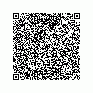 vCard 73855729900