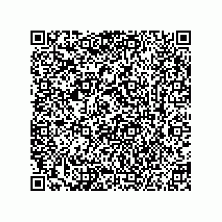 vCard 73855729929