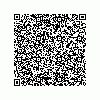 vCard 73855729998
