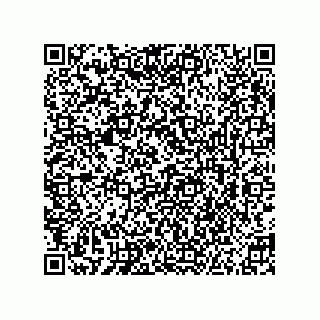 vCard 73855730297