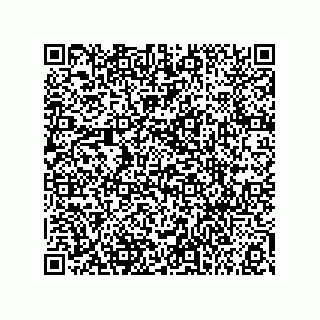 vCard 73856127381