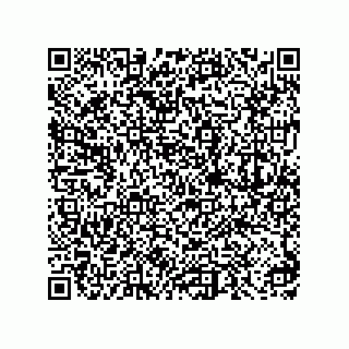 vCard 73856629271