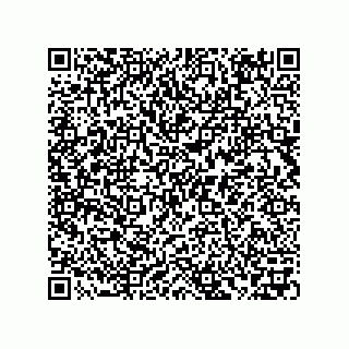 vCard 73856830379