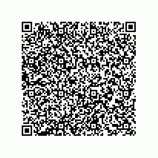 vCard 73857321339