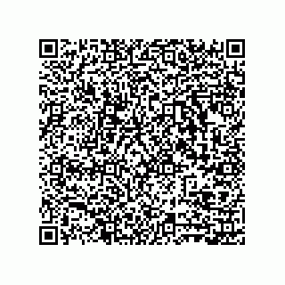 vCard 73857529733