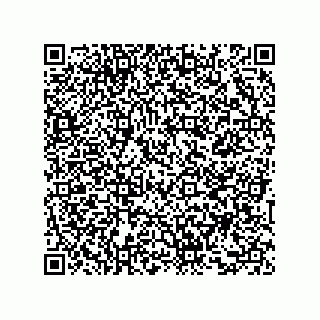 vCard 73857825313