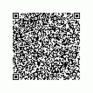 vCard 73857825329