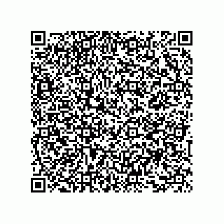 vCard 73857825335