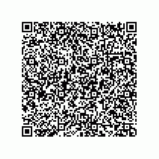 vCard 73857825403