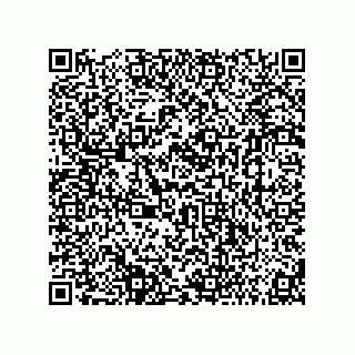 vCard 73858022010