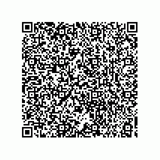 vCard 73858129131