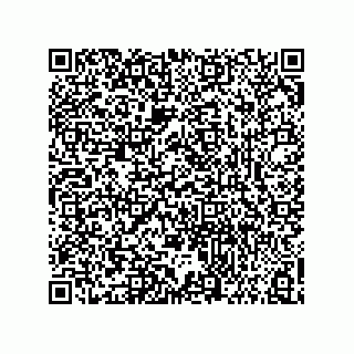 vCard 73858129303