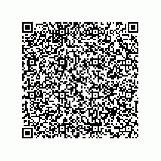 vCard 73858129331