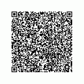 vCard 73858129335