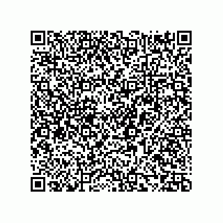 vCard 73858129403