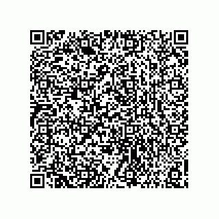 vCard 73858133005
