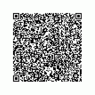 vCard 73858133013