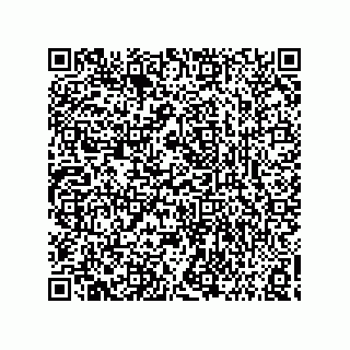 vCard 73858133021