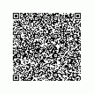 vCard 73858133028