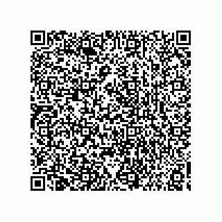vCard 73858133037