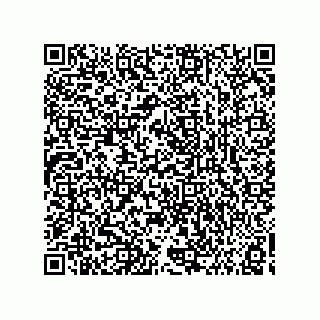 vCard 73858133038