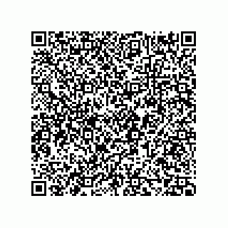 vCard 73858133081