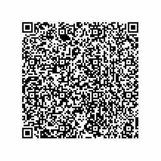 vCard 73858133099