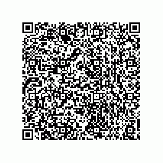 vCard 73858133100