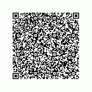 vCard 73858133111