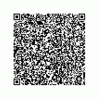 vCard 73858133113