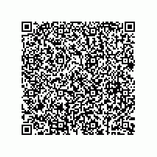 vCard 73858133181