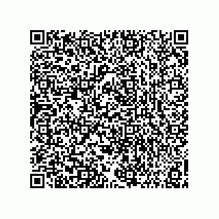 vCard 73858133191
