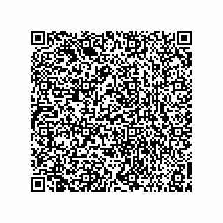 vCard 73858133199