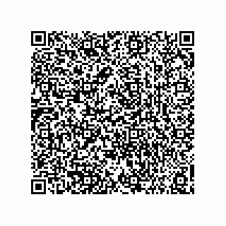 vCard 73858133200