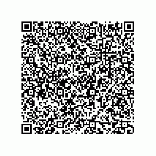 vCard 73858133202