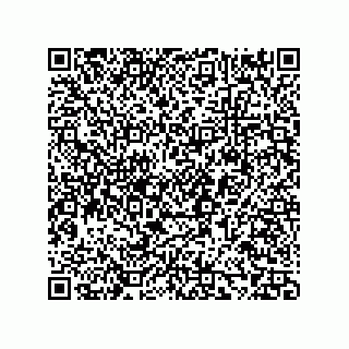 vCard 73858133203
