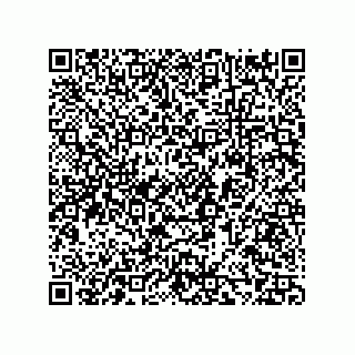 vCard 73858133211