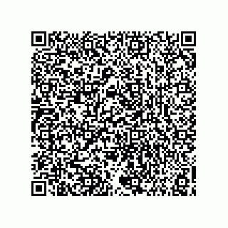 vCard 73858133219