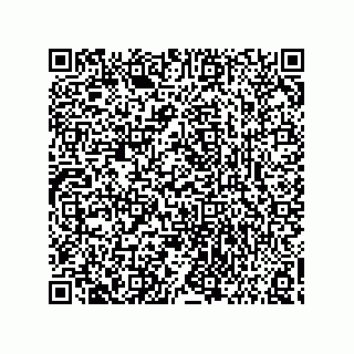 vCard 73858133221