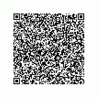 vCard 73858133225