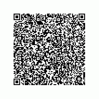 vCard 73858133249