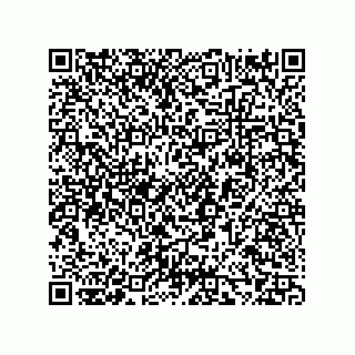 vCard 73858133253