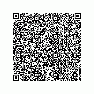 vCard 73858133272