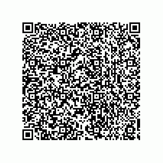 vCard 73858133279