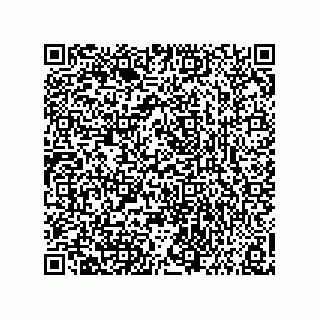 vCard 73858133282