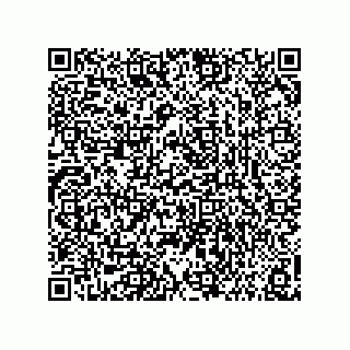 vCard 73858133285