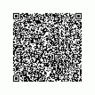 vCard 73858133291