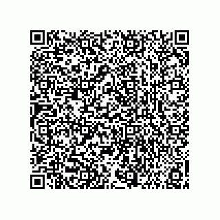 vCard 73858133293
