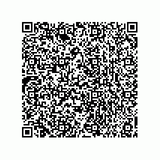 vCard 73858133295