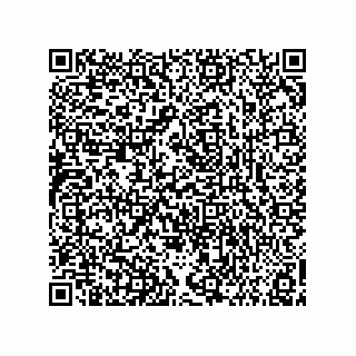 vCard 73858133299